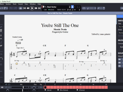 You're Still The One - Shania Twain (GPX)